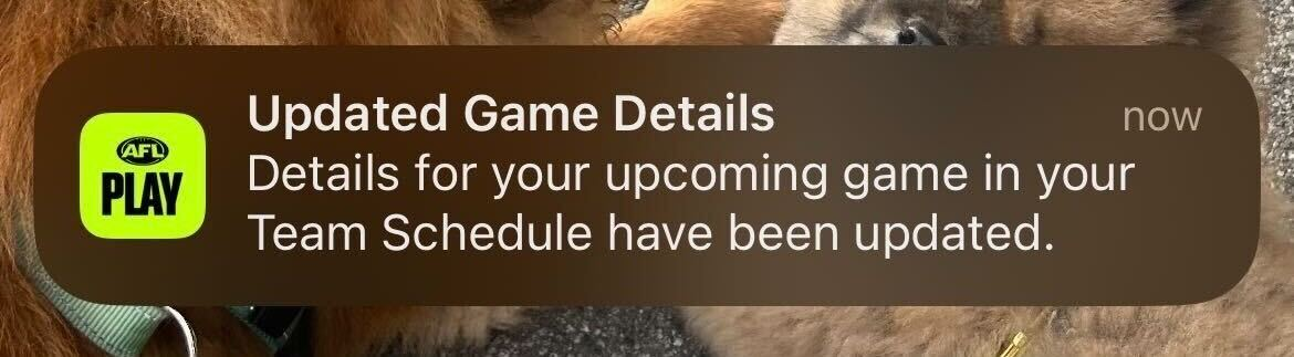 notifications 1.png